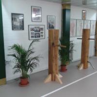 6 - palestra - uomini di legno 